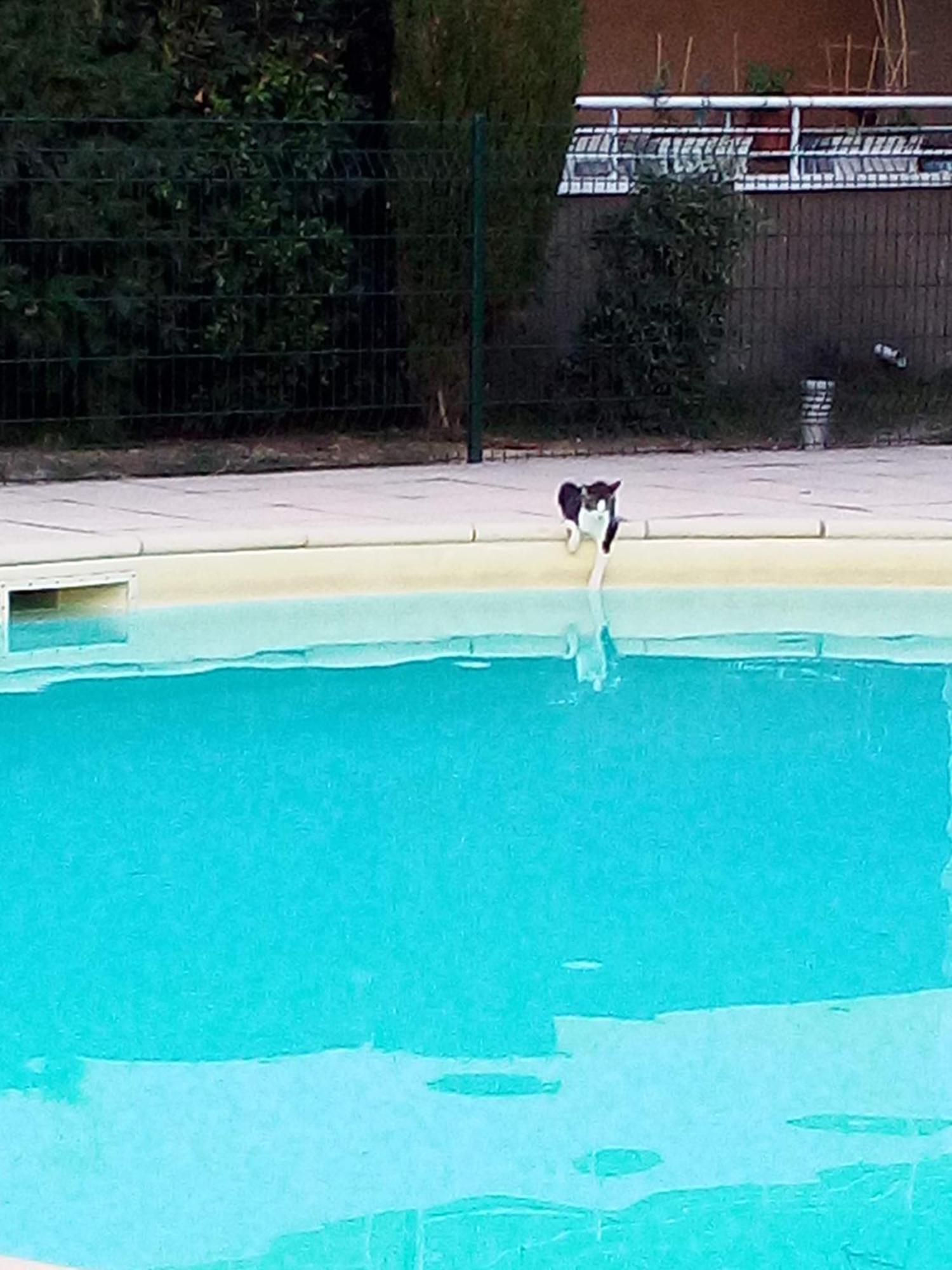 Appartement Carcaluxe カルカソンヌ エクステリア 写真
